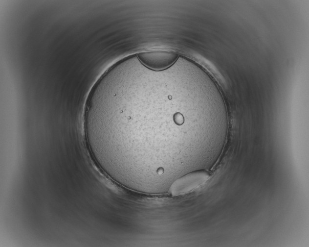 X0000112181236200908211453