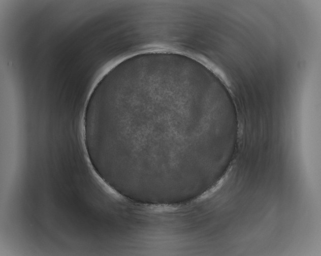 X0000112181239200908211453