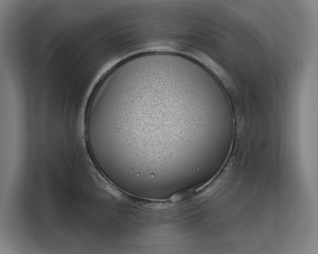 X0000112181240200908211453