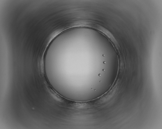 X0000112181242200908211453