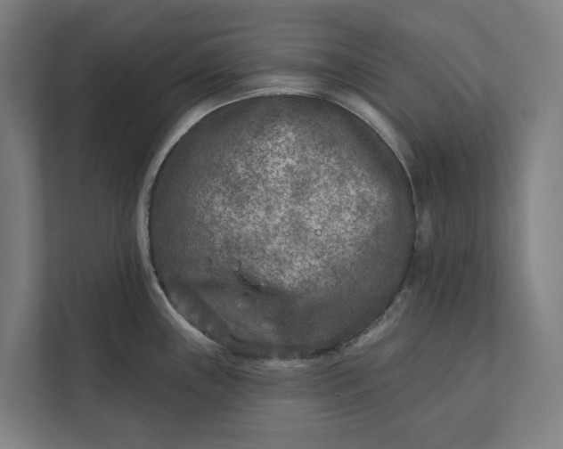 X0000112181243200908211453