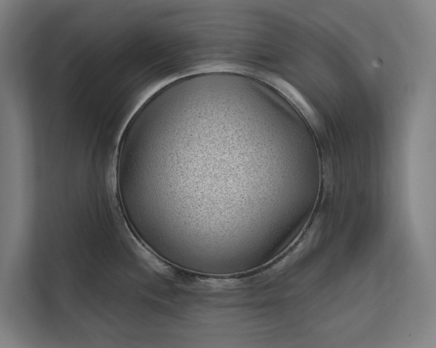 X0000112181244200908211453