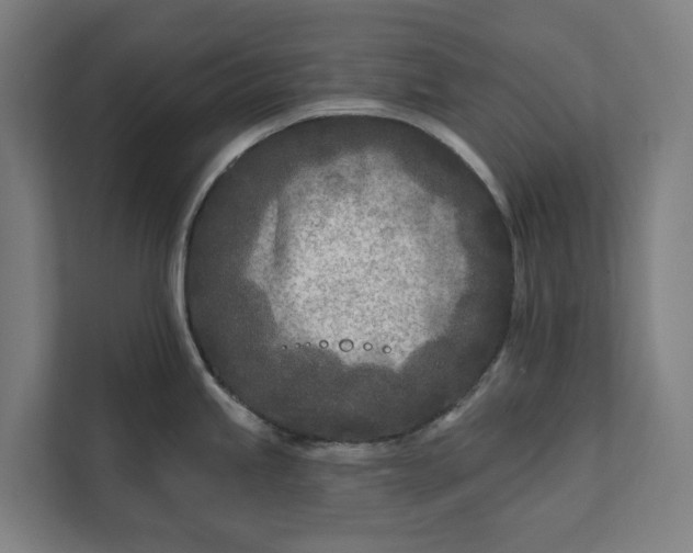 X0000112181245200908211453