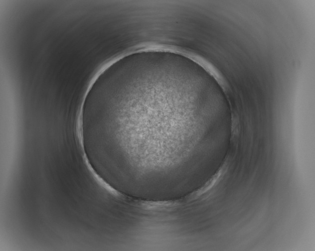 X0000112181247200908211453