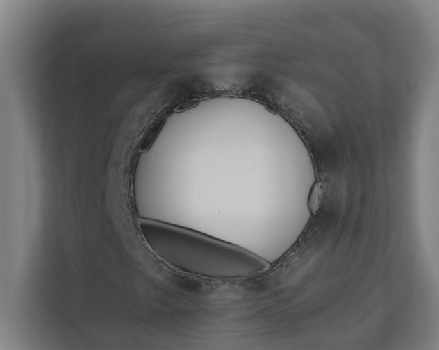 X0000112181249200908211453