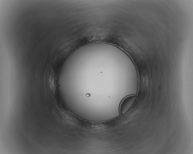 X0000112181250200908211453