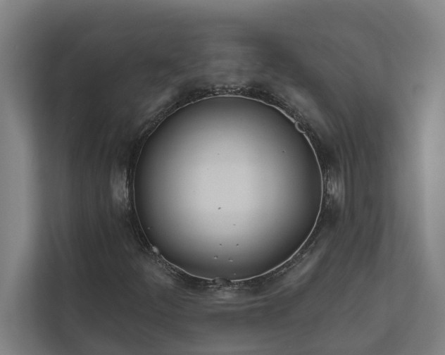 X0000112181252200908211453