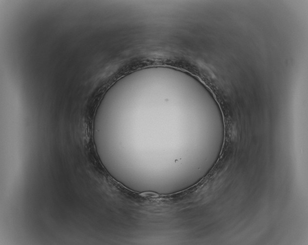 X0000112181253200908211453