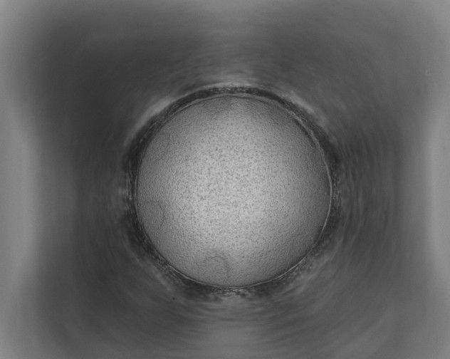 X0000112181255200908211453