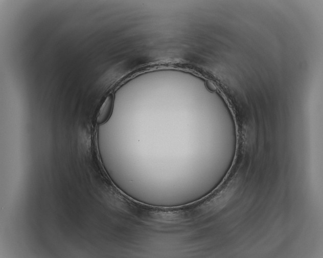 X0000112181257200908211453