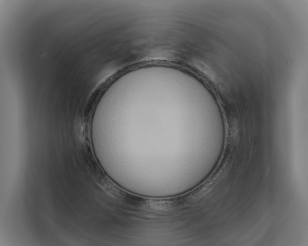 X0000112181258200908211453