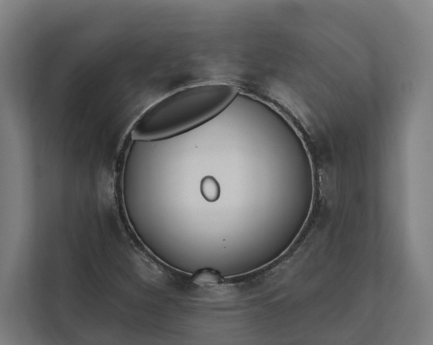 X0000112181260200908211453