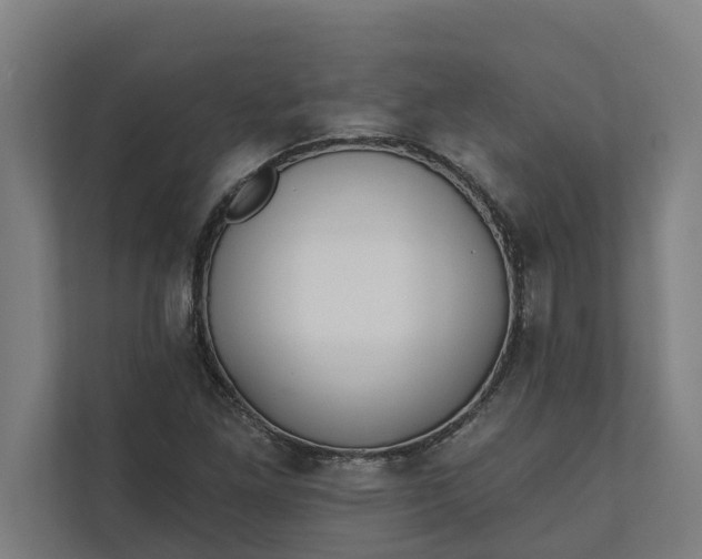 X0000112181261200908211453