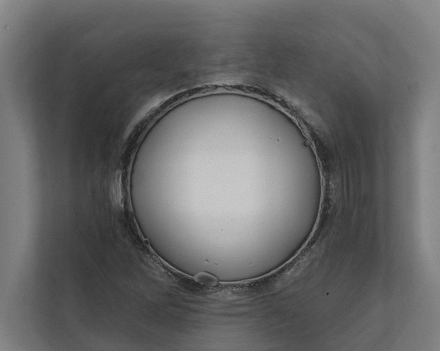 X0000112181262200908211453