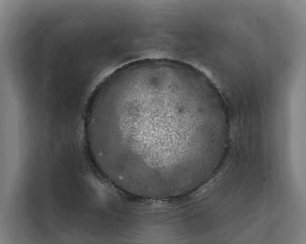 X0000112181263200908211453