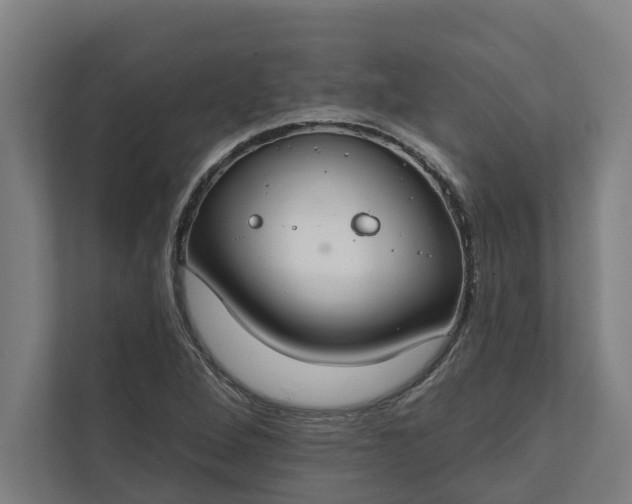 X0000112181264200908211453