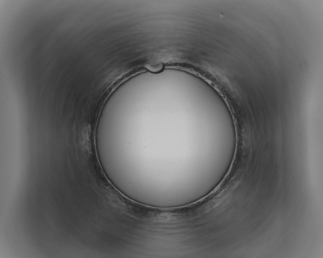 X0000112181265200908211453