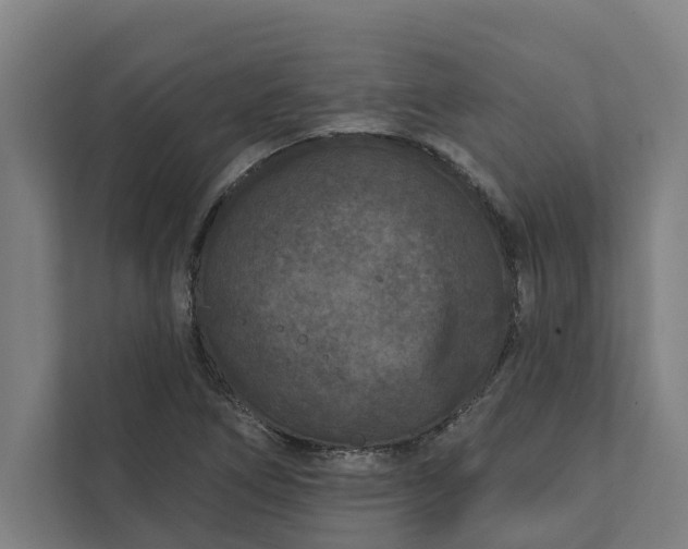 X0000112181266200908211453