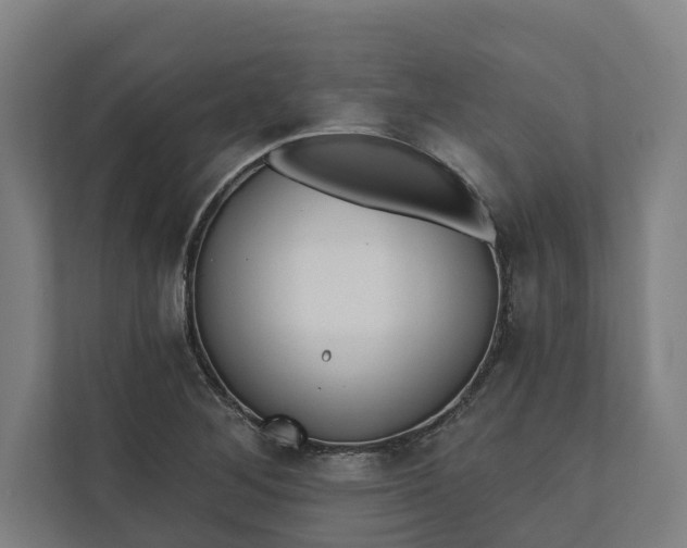 X0000112181268200908211453