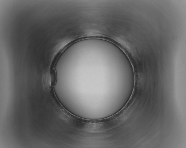 X0000112181269200908211453