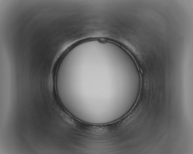 X0000112181270200908211453