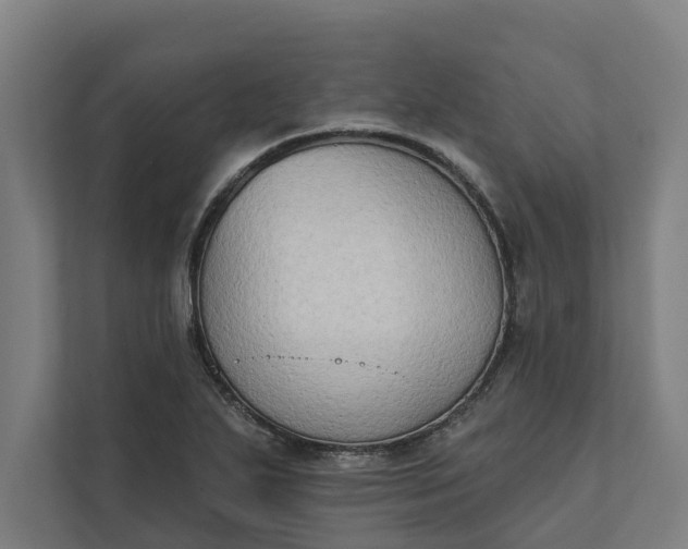 X0000112181271200908211453