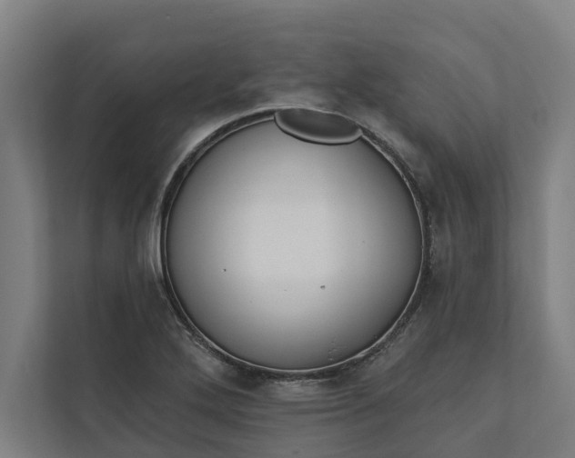 X0000112181272200908211453