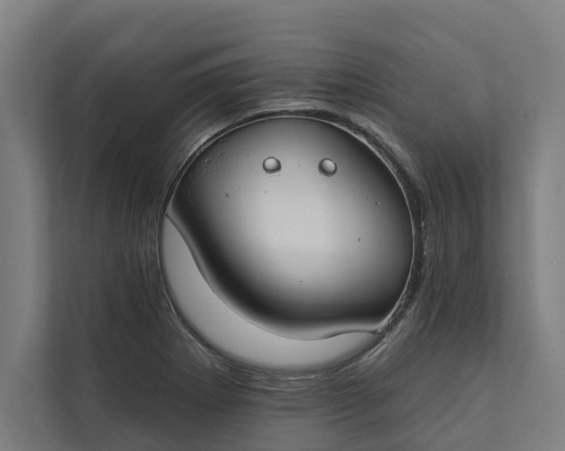 X0000112181273200908211453