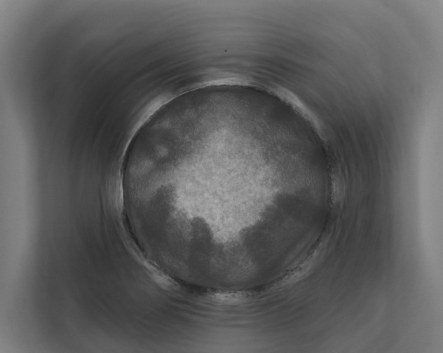 X0000112181274200908211453