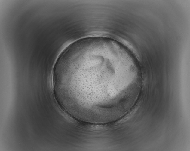 X0000112181275200908211453