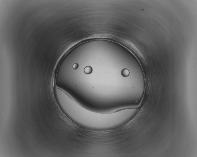 X0000112181276200908211453