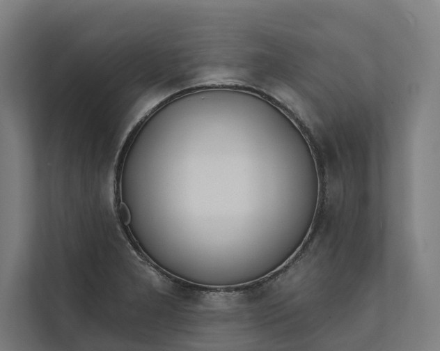 X0000112181277200908211452