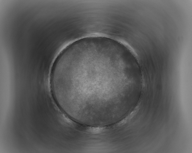 X0000112181278200908211452