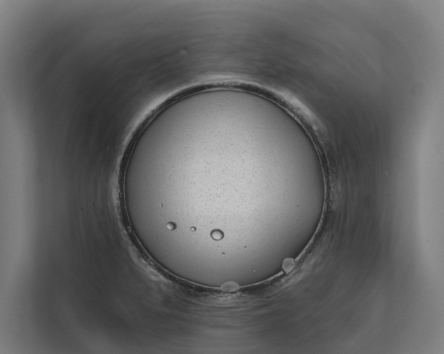 X0000112181279200908211452