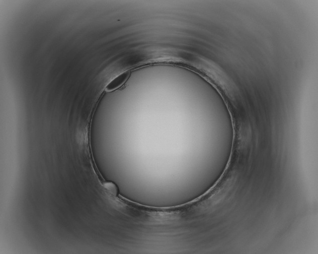 X0000112181281200908211452