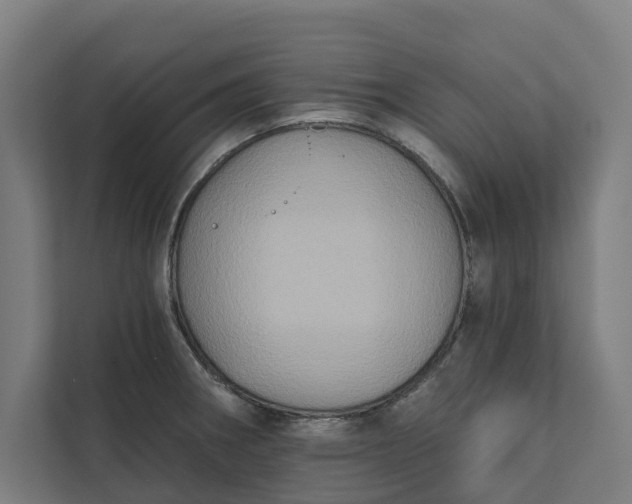 X0000112181282200908211452