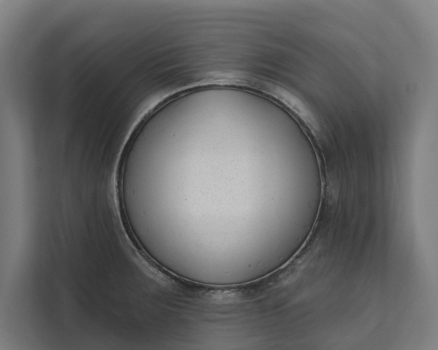 X0000112181283200908211452