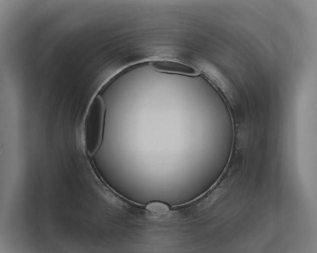 X0000112181284200908211452