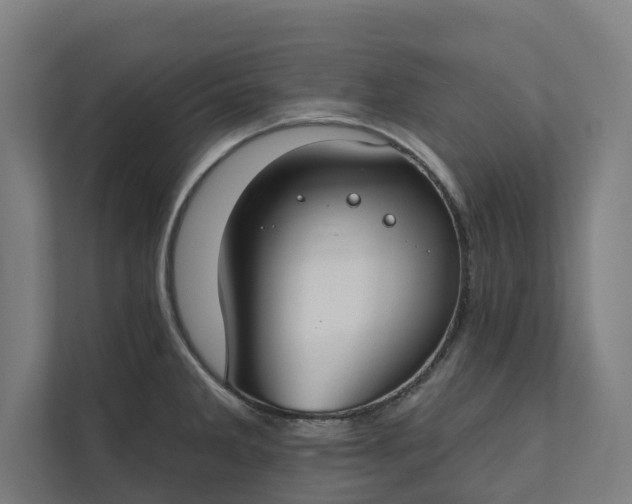 X0000112181285200908211452