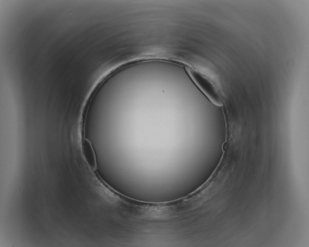 X0000112181288200908211452