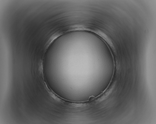 X0000112181289200908211452