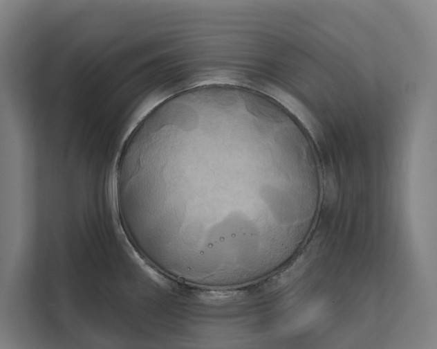 X0000112181290200908211452