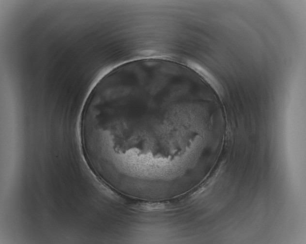 X0000112181291200908211452