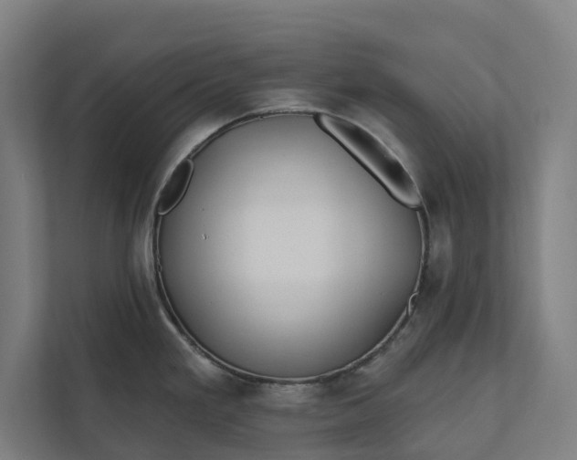 X0000112181293200908211452