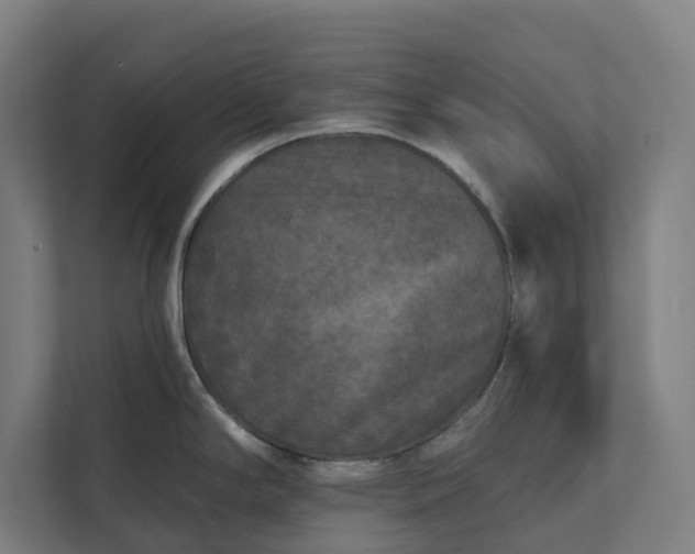 X0000112181294200908211452