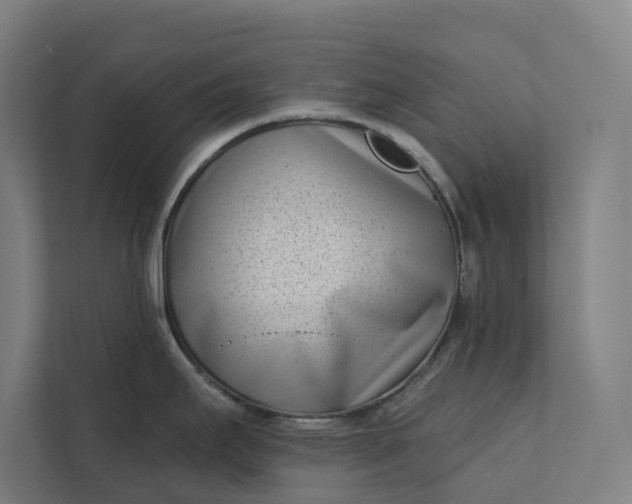 X0000112181295200908211452