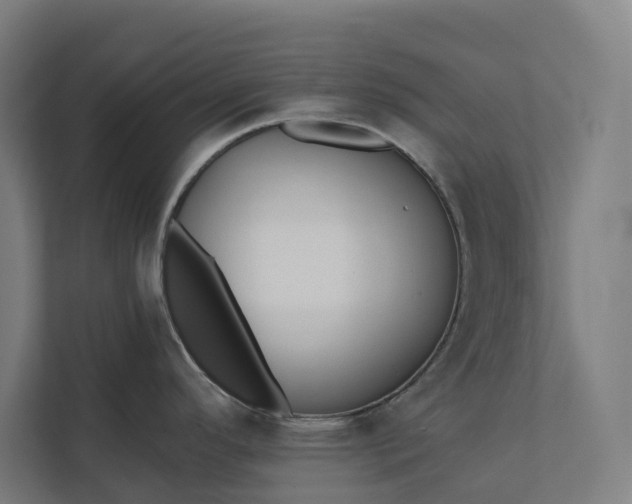 X0000112181296200908211452