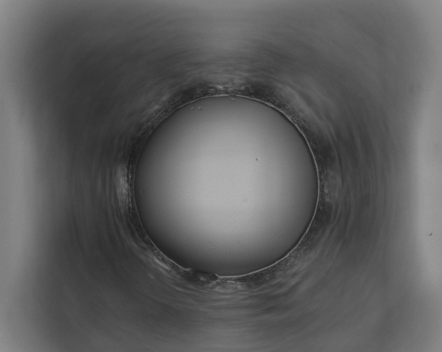 X0000112181298200908211452