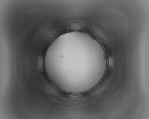 X0000112181299200908211452