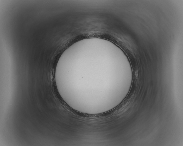 X0000112181300200908211452